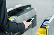Industrial & Public Information Systems